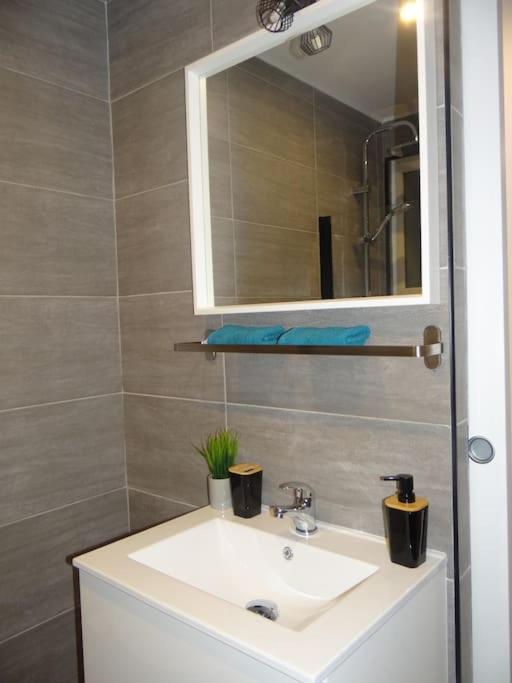 Apartment Cosy Loft - De Charme Marsannay-la-Cote